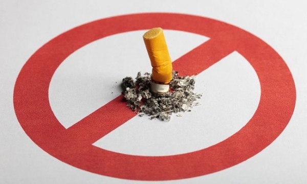 办公室空气净化器怎么选？核心看是否有效除尼古丁！附十大主流机型实测